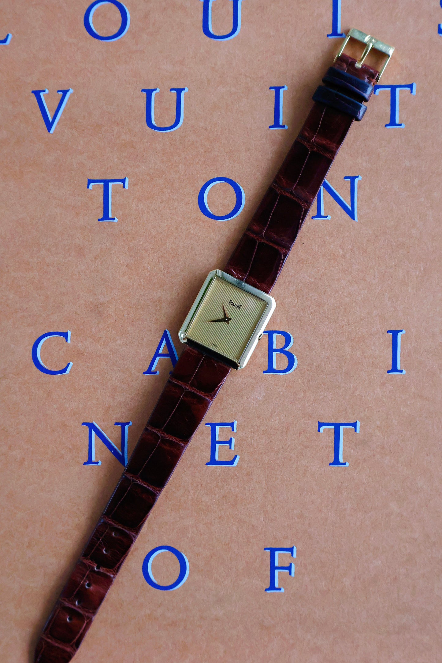Piaget Protocole
