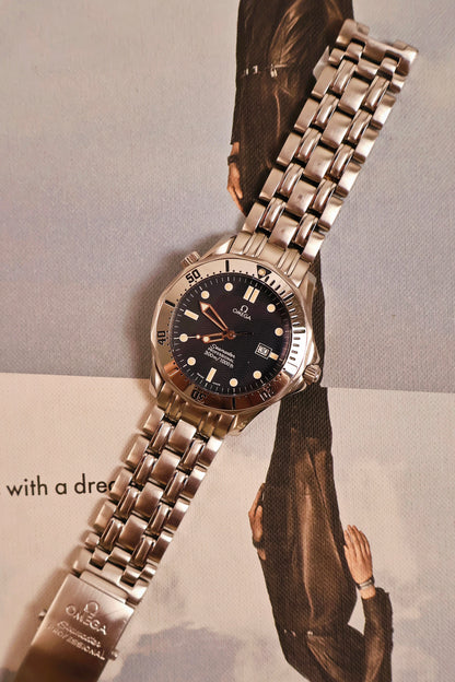 Omega Seamaster Professional