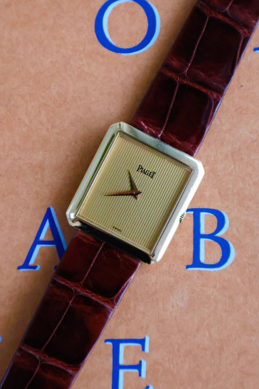 Piaget Protocole